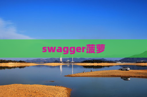 swagger菠萝